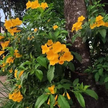 Montra Guesthouse Ranong Dış mekan fotoğraf