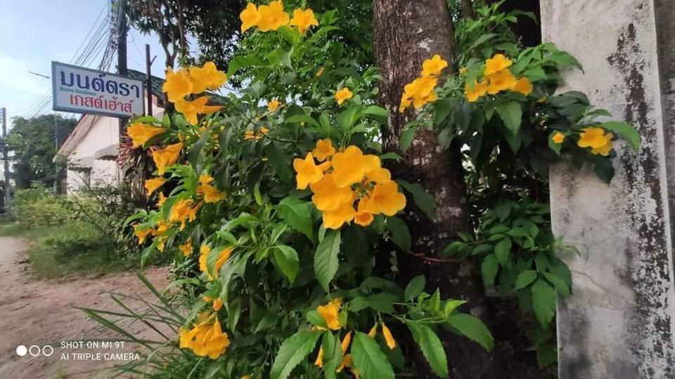 Montra Guesthouse Ranong Dış mekan fotoğraf